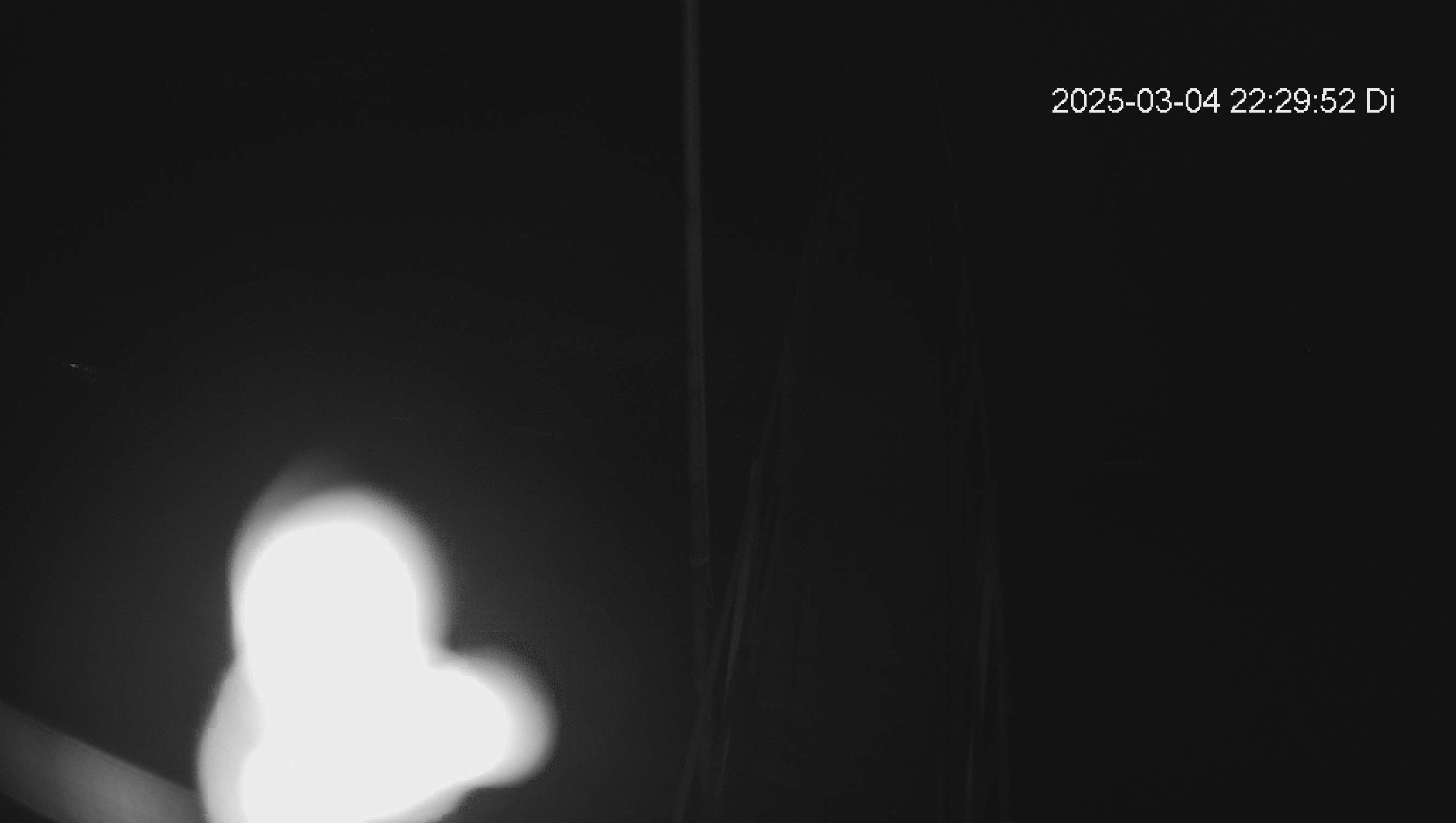 Webcam img missing